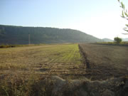 Pic 1